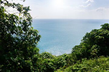 Fototapeta na wymiar Frame of tree overlooking green Andaman ocean