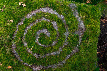 A symbol carved out in moss. Wistman's Wood, UK