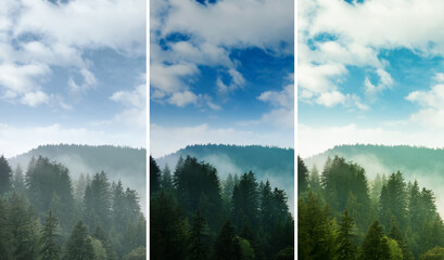 Photos before and after retouch, collage. Picturesque view of mountain forest in foggy morning