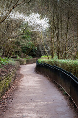 Public footpath in Snuff Mills park, Bristol, UK