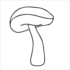 Mushroom sketch  in doodle style. Boletus botanical design vector illustration