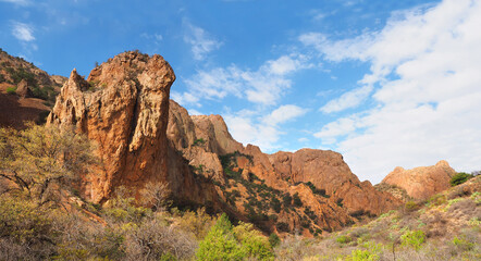 Fototapeta premium Panorama of the Highly Eroded Mountains of Big Bend National Park, Texas