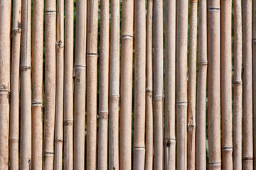 Fototapeta premium Close Up Bamboo Trees Panel Stick Fence Background 