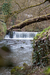 A waterfall in Bristol, Snuff Mills Park