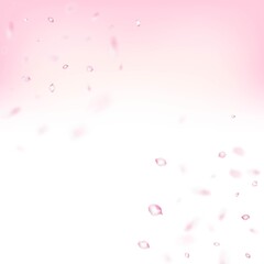 Fototapeta na wymiar Cherry Sakura Blossom Confetti. Flying Japanese Cherry Rose Sakura