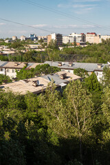 summer day. roofs of city houses against a backdrop of trees