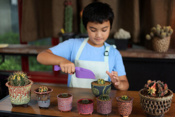 Asian boy make mini gardening cactus in the colorful pottery little cactus pot . Home gardening hobby concept. Selective focus.cactus and pot blur children.