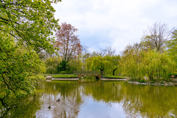 Fototapeta na wymiar Weiher im Stadtpark Steglitz in Berlin. Die Bäume spiegeln sich im Wasser.