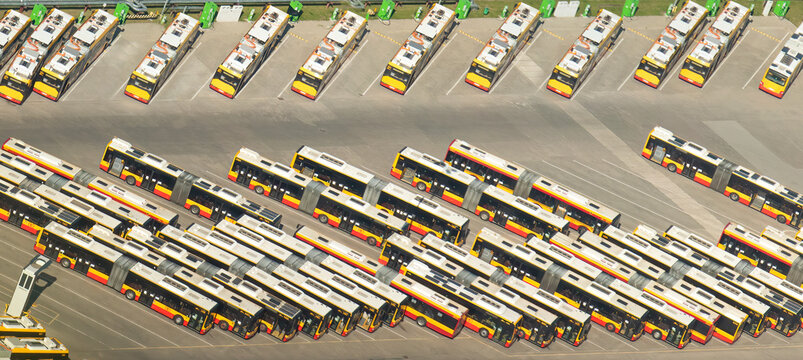 Zarząd Transportu Miejskiego w Warszawie. 
Warszawski Transport Publiczny 