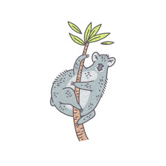 Cute koala bear animal. Cartoon colorful character illustration.
