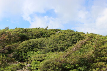 福島県の箕輪山から鬼面山への登山