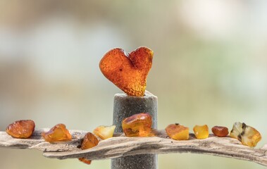 autumn leaves on a tree