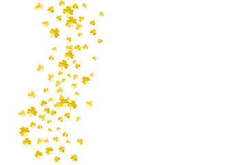 Clover background for Saint Patricks Day.  Lucky trefoil confetti. Glitter frame of shamrock leaves. Template for gift coupons, vouchers, ads, events. Festive clover background.