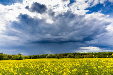 Blaue Gewitterwolken &uuml;ber dem Land mit gelbem Rapsfeld