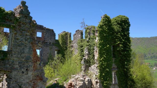 Ruins of old castle Haasberg in Slovenia. Historic mansion remains covered with leaves. Collapsed walls of mightiest Baroque castle on Slovenian soil. Wide angle, tilt up