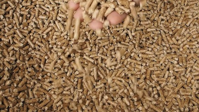 Man hands grab wood pellets and drop them, alternative energy concept, renewable energy