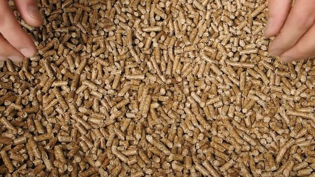 Man hands grab wood pellets and drop them, alternative energy concept, renewable energy
