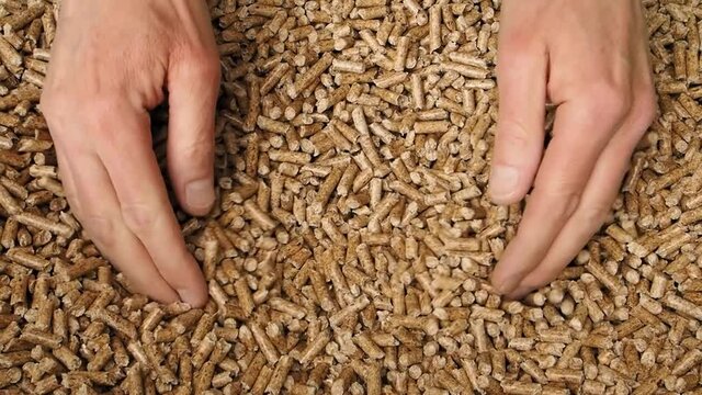 Man hands grab wood pellets and drop them, alternative energy concept, renewable energy