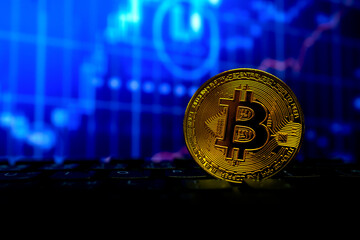 bitcoin gold coin on keyboard and chart with soft-focus and over light in the background. cryptocurrency concept.