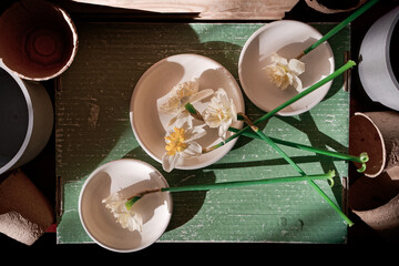 Withered daffodils are in a white plate on a faded paper box lid, along with randomly scattered objects (flower pots, saucers, paper cups). The concept of aging, passing love, sadness. Top view.
