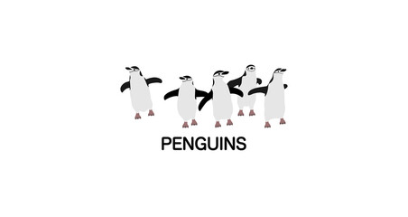 装飾素材「ペンギン（PENGUINS）」