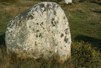 Alignements de Carnac, patrimoine mondial de l'UNESCO, Carnac, La Trinité sur Mer, Bretagne,...