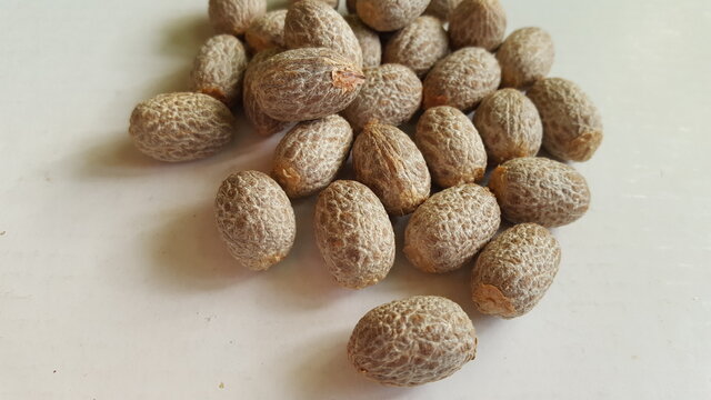 Natural palm seeds in a heap on a white background. Low light to capture detail. 