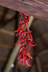 Bunch of red chili peppers. Chili peper dri