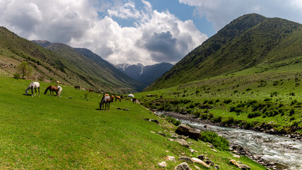 Fototapeta na wymiar Beautiful views of the mountains with snowy peaks in Kyrgyzstan.