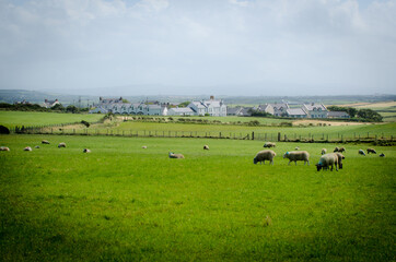 Fototapeta na wymiar Ireland Landscape