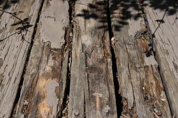 Old damaged deck; wood texture with peeling paint and shadows of nearby plants