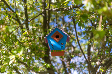 Blue bird house