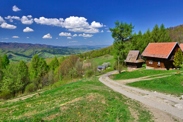Mountains scenery. Panorama of grassland and forest in Beskid Sadecki mountains in spring sunny day, Poland.