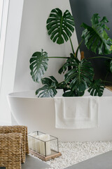 Freestanding white bathtub and green plant in bathroom