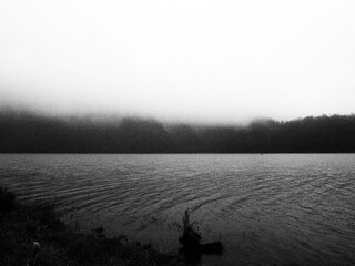 Black and white nature