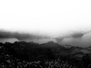 Black and white nature