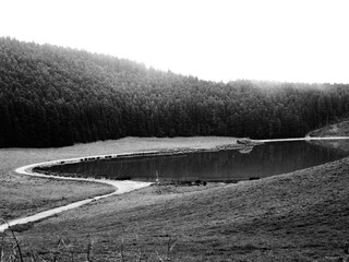 Black and white nature