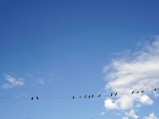 Obraz premium Sky with clouds after a thunderstorm