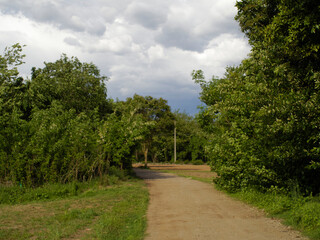 Sky with clouds and field