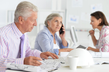 Obraz premium successful senior businesspeople working