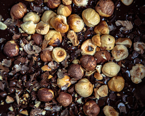 closeup of roasted hazelnuts in a chocolate dough