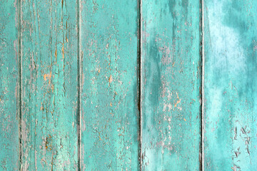 Fototapeta na wymiar Wooden planks background with teal blue colored old weathered planks with chipped paint