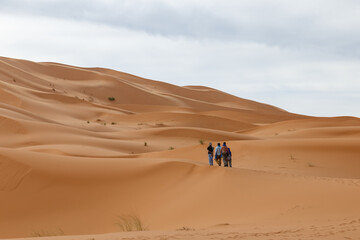 group of people walk along the sand dunes in the Sahara Desert. Morocco