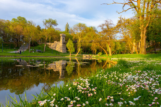 Photo taken in Nicolae Romanescu Park from Craiova, Romania at sunset. The photo consists of a pond, a meadow with flowers and a suspended bridge in the background.
