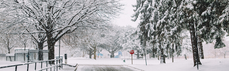 Winter landscape. Heavy snowfall and snowstorm in Toronto, Ontario, Canada. Snow blizzard. Bad...