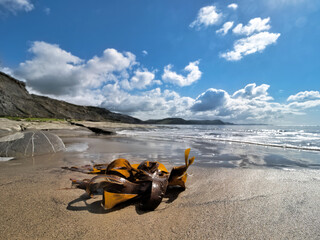 Obraz premium OLYMPUS DIGITAL CAMERA