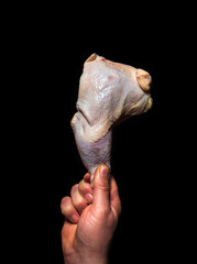 Chicken leg in chef hand on a black background. The chef prepares to cook raw chicken meat