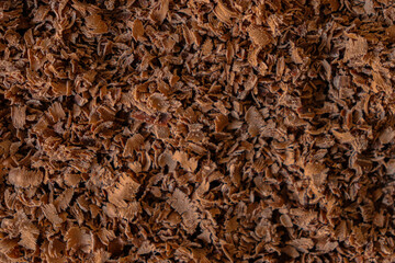 chocolate