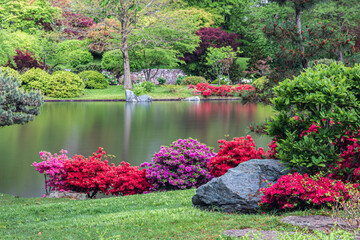 Japanese garden, in Missouri Botanical Garden, St. Louis, Missouri, USA. Reflection of trees and...