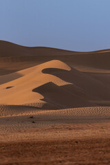 Fototapeta na wymiar Desert Sand Dunes in the Dubai - UAE, taken at late afternoon showing the contrast in shadows and highlights on the dunes